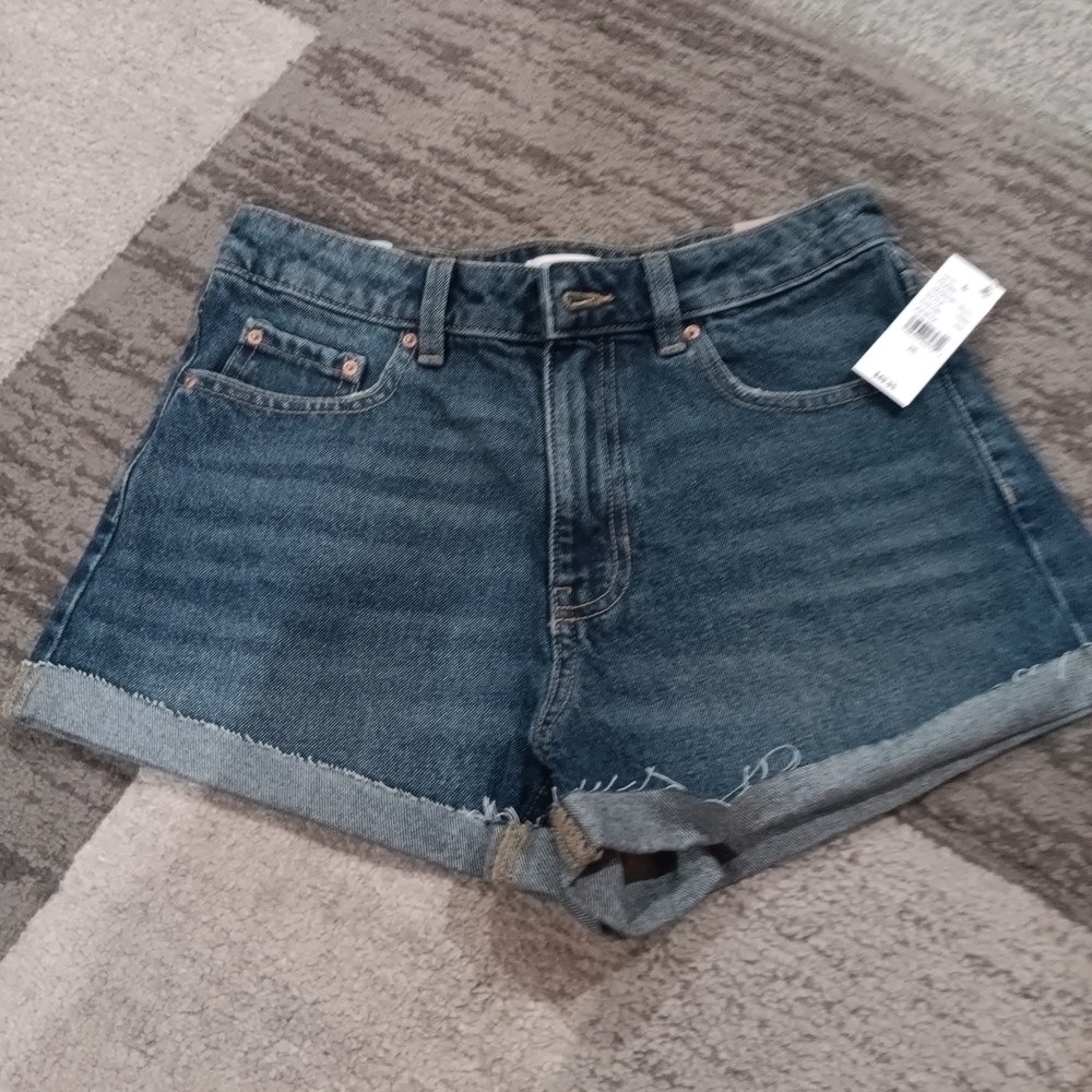 PacSun Dark Blue Jean Shorts